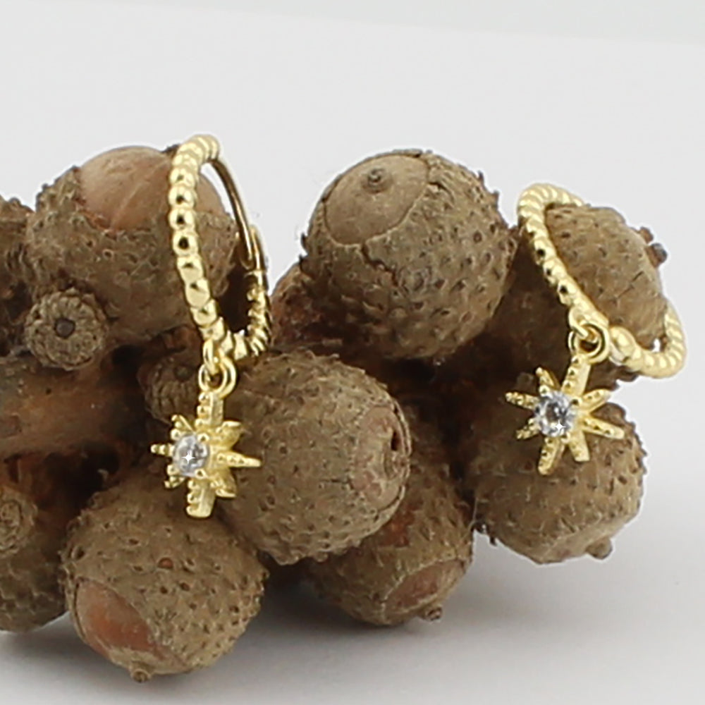 Pendientes Aro-criolla gallonada con motivo rosa de los vientos. Plata de Ley 925 Baño Oro 18K y circonita blanca. PD2315946O - Henor