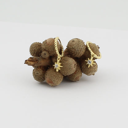 Pendientes Aro-criolla gallonada con motivo rosa de los vientos. Plata de Ley 925 Baño Oro 18K y circonita blanca. PD2315946O - Henor